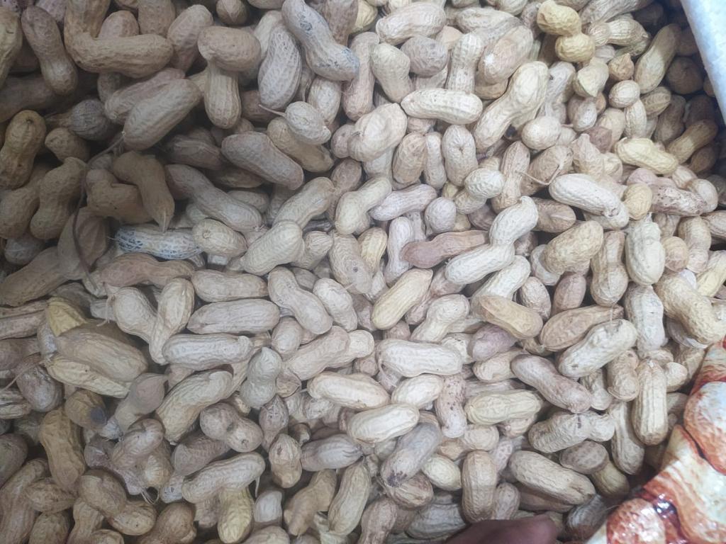 Groundnuts
