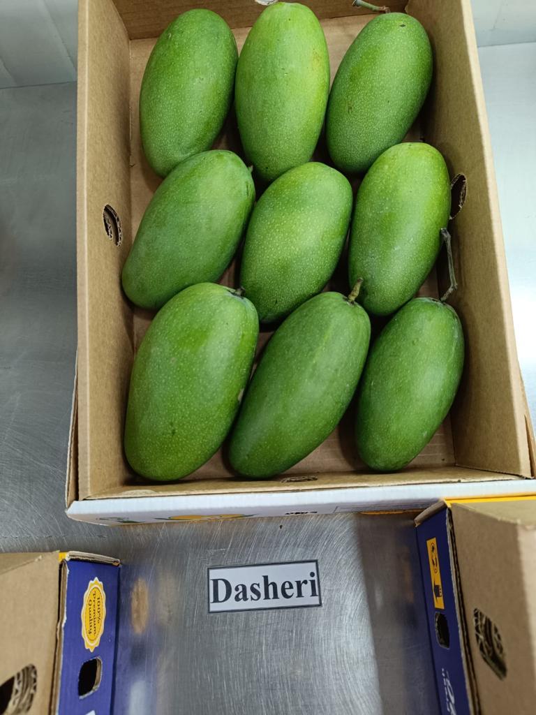 Dasheri