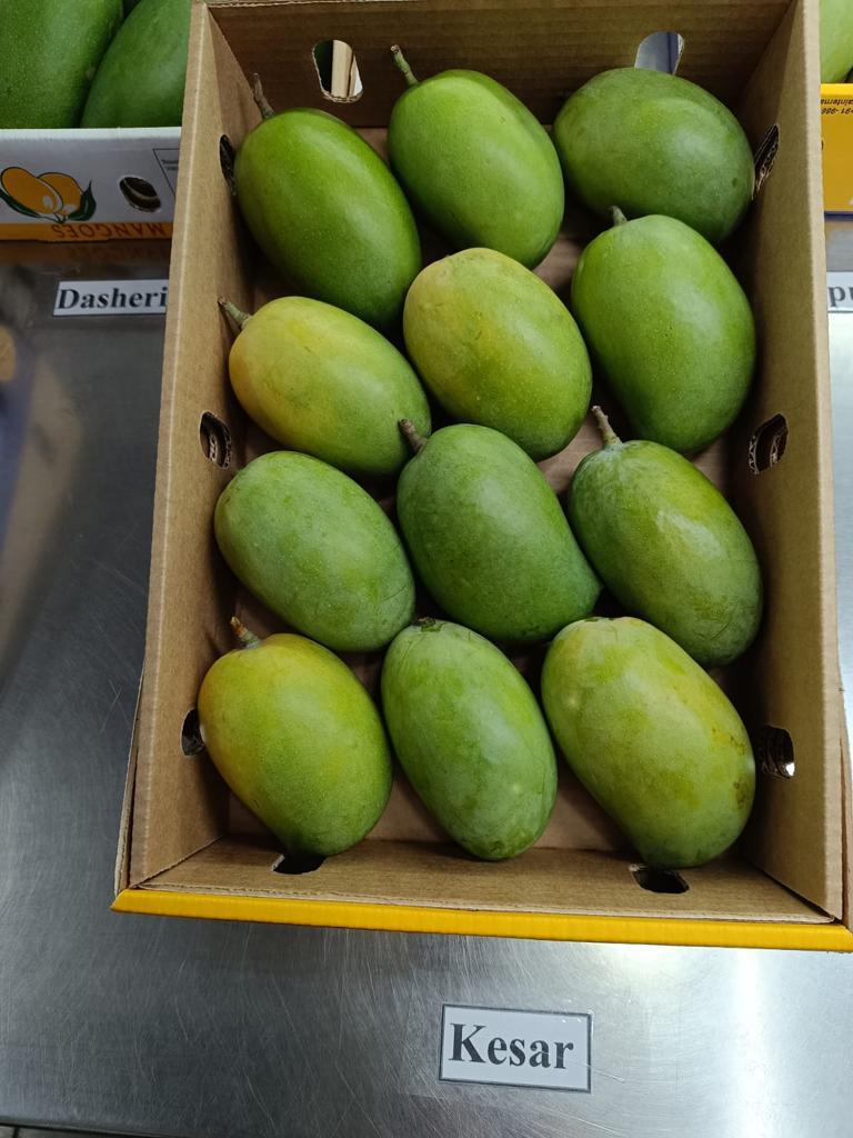 Kesar