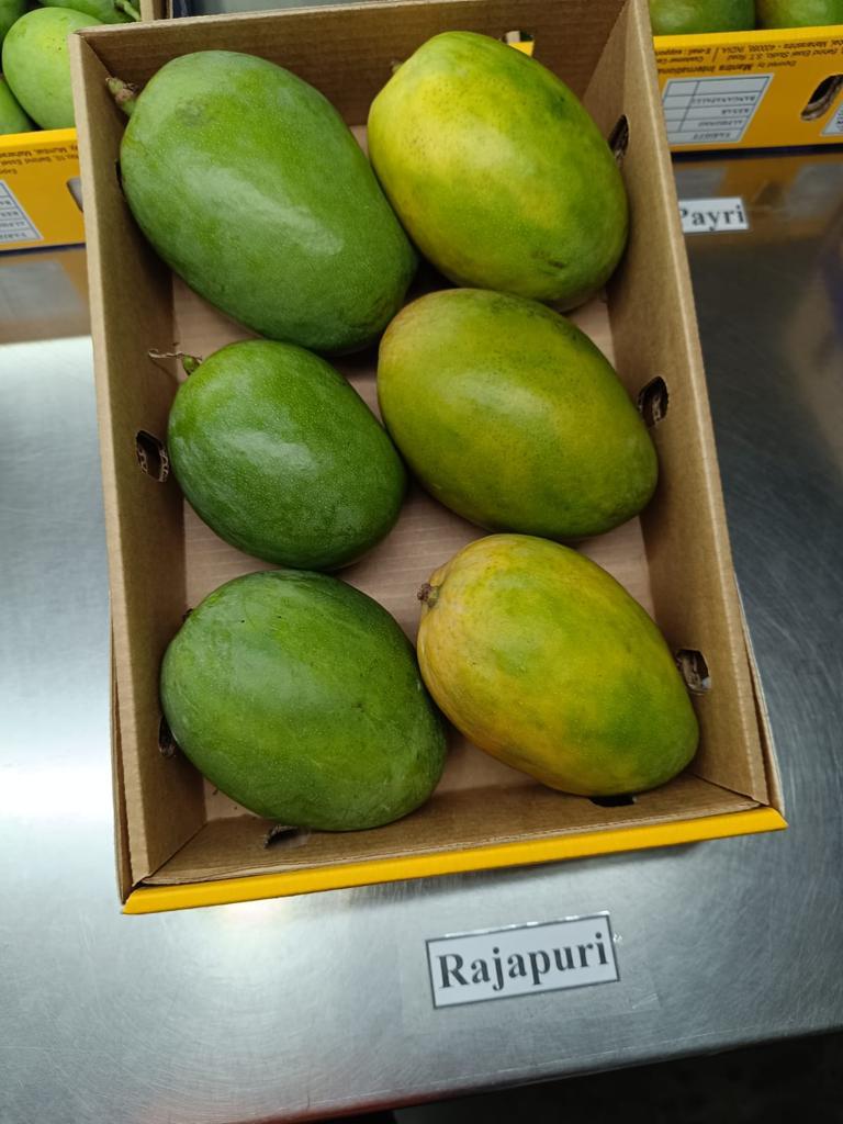 Rajapuri