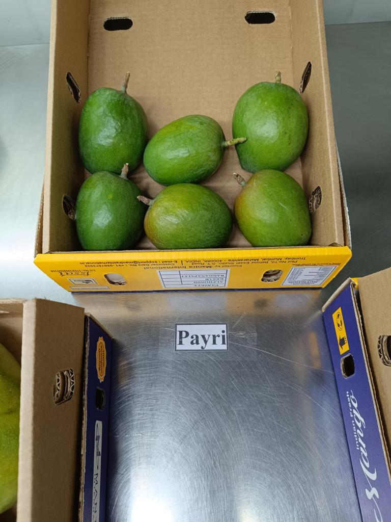 Payri