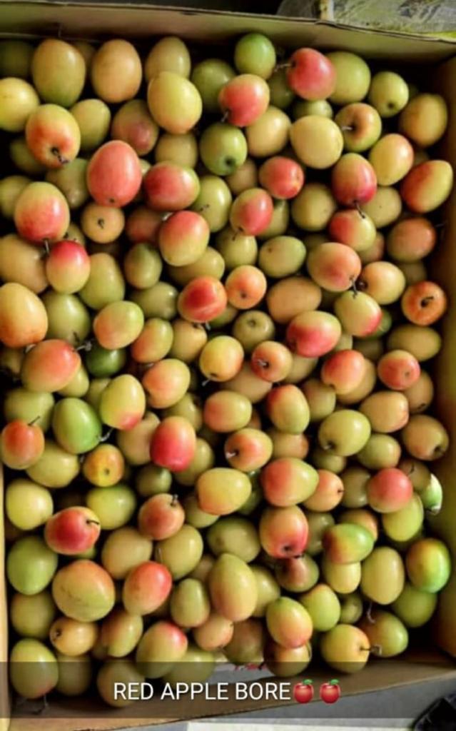Red Apple Bore