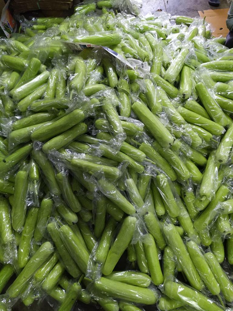 Bottle Gourd