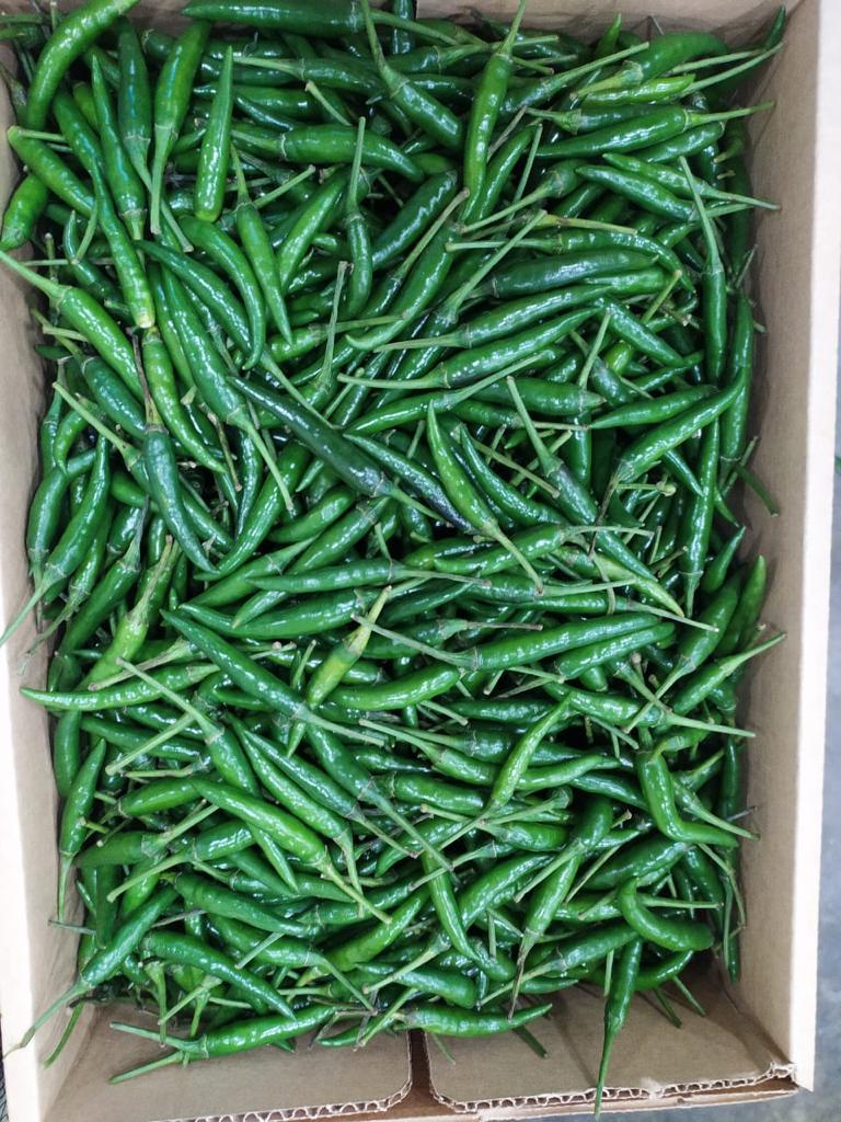 Green Chilli