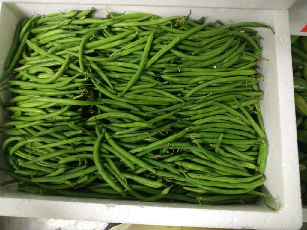 French Beans