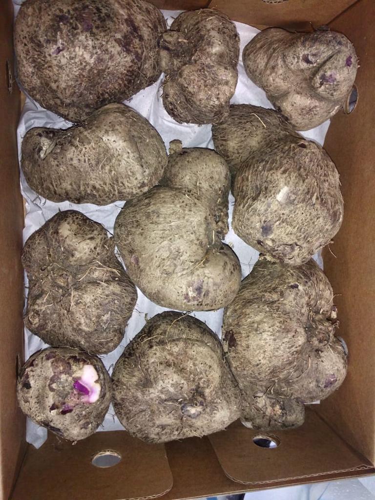 Beetroot