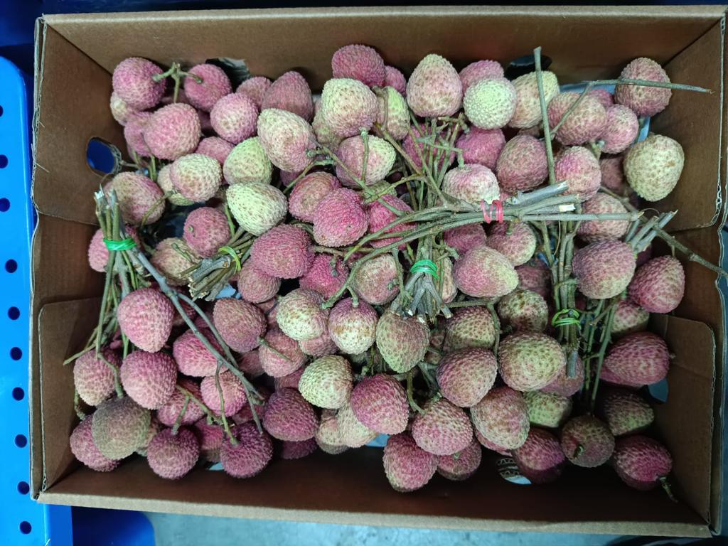 Litchi