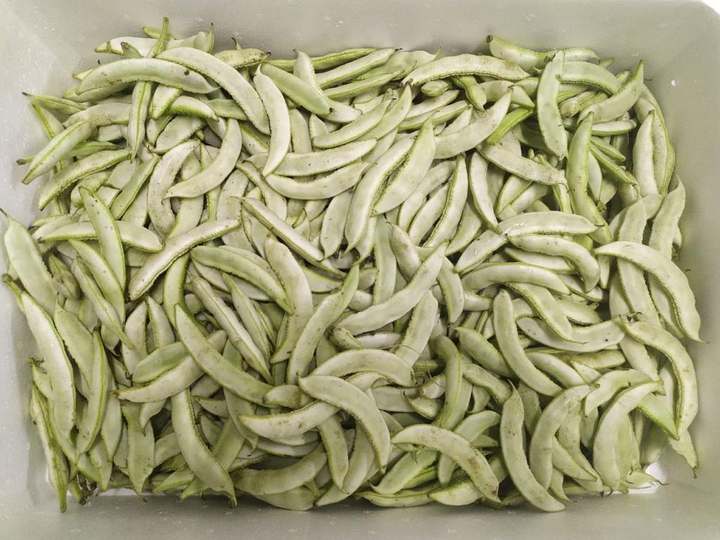 Peas